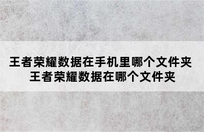 王者荣耀数据在手机里哪个文件夹 王者荣耀数据在哪个文件夹